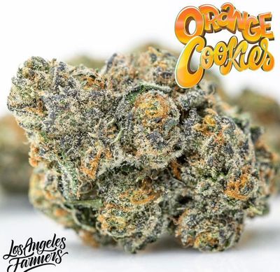 BUY WEED ONLINE WITH PAYPAL |BUY WEED ONLINE WITH CREDIT CARD
https://canna-center.com/buy-weed-online-with-paypal/
BUY WEED ONLINE WITH ZELLE | BUY WEED ONLINE WITH CASHAPP