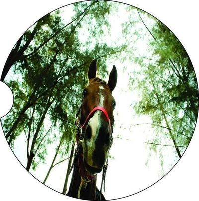 2 Absorbent Car Coasters with Horse. Horse Lovers, Car Accessories for her, Auto Coaster, Coaster, Cup Holder Coaster, Gift For Her, For Him $14.00