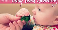 We're doing baby led weaning and love it. It's not just good for baby's development, it's fun and way easier than purée and spoon feeding!