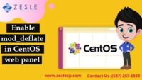 Centos Web Panel

https://zeslecp.com/

CentOS Web Panel �€" a Free Web Hosting control panel designed for quick and easy management of (Dedicated & VPS) servers. Requirements Before the Initialization of CentOS Web Panel instal...