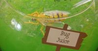 Bug Juice...Cool Halloween Drink Ideas