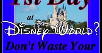 The Day You Arrive at Disney World, Don’t Waste Your Tickets on This�€�(or, ideas on what to do at Disney without tickets!)